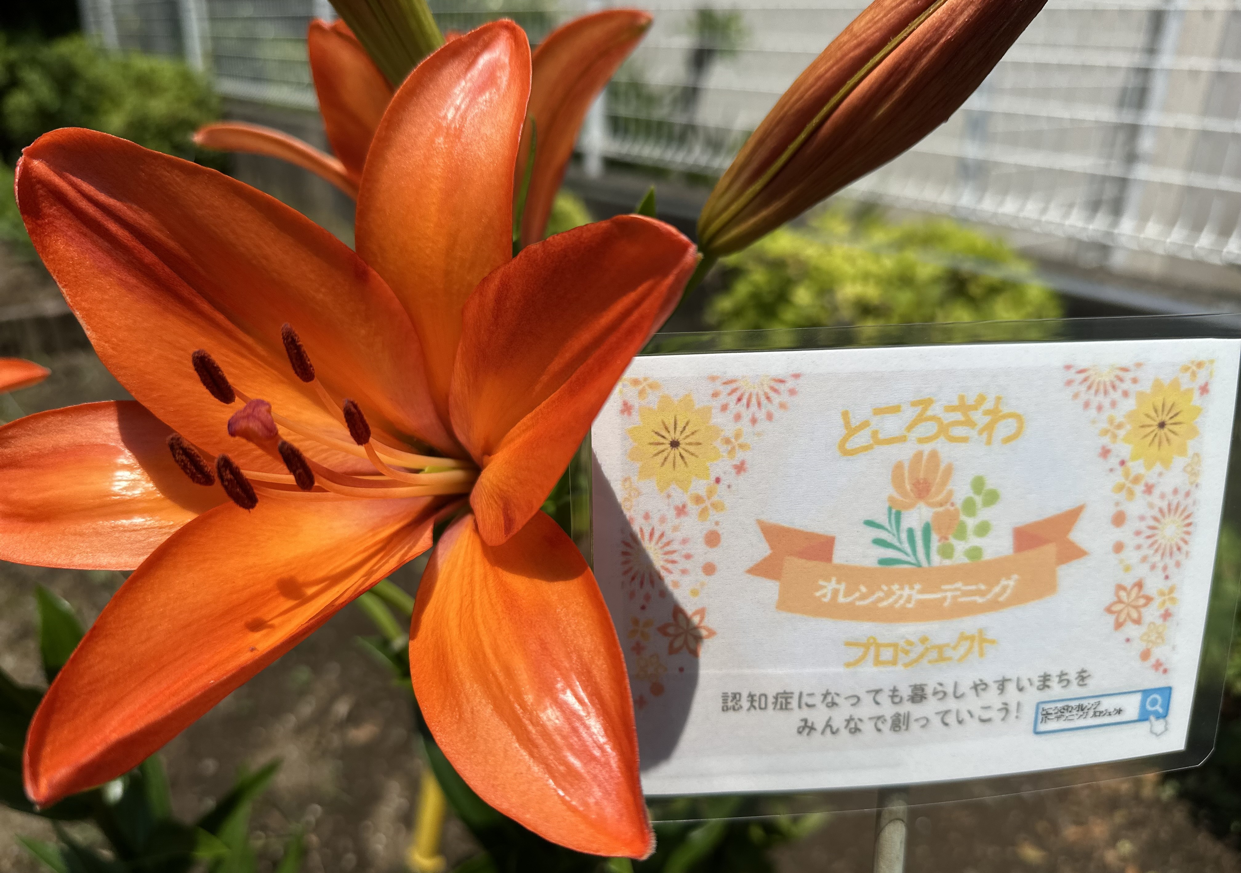 ところざわOGP