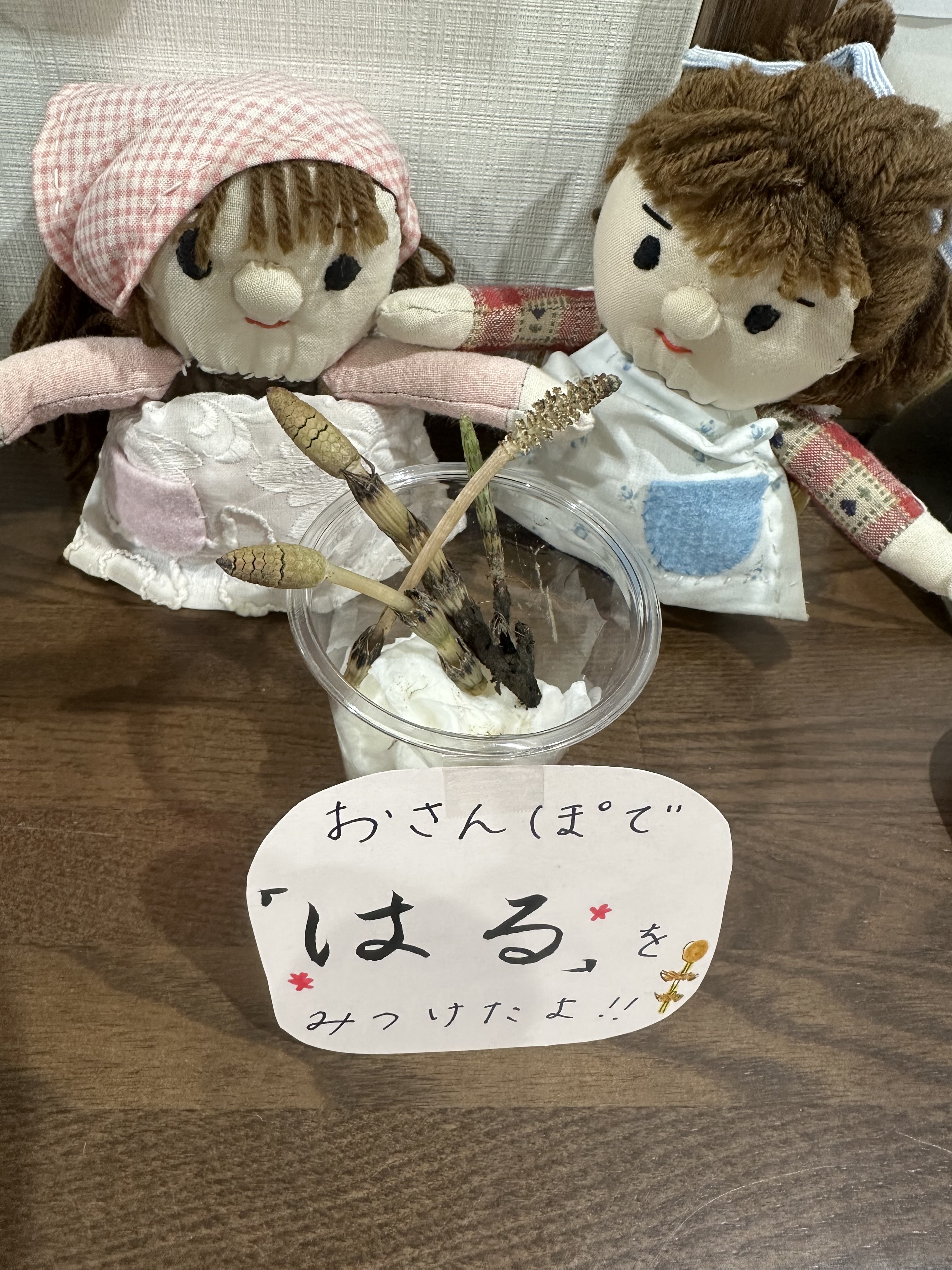 春をみつけたよ♪