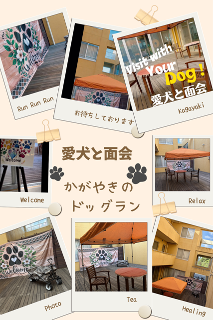 愛犬と面会