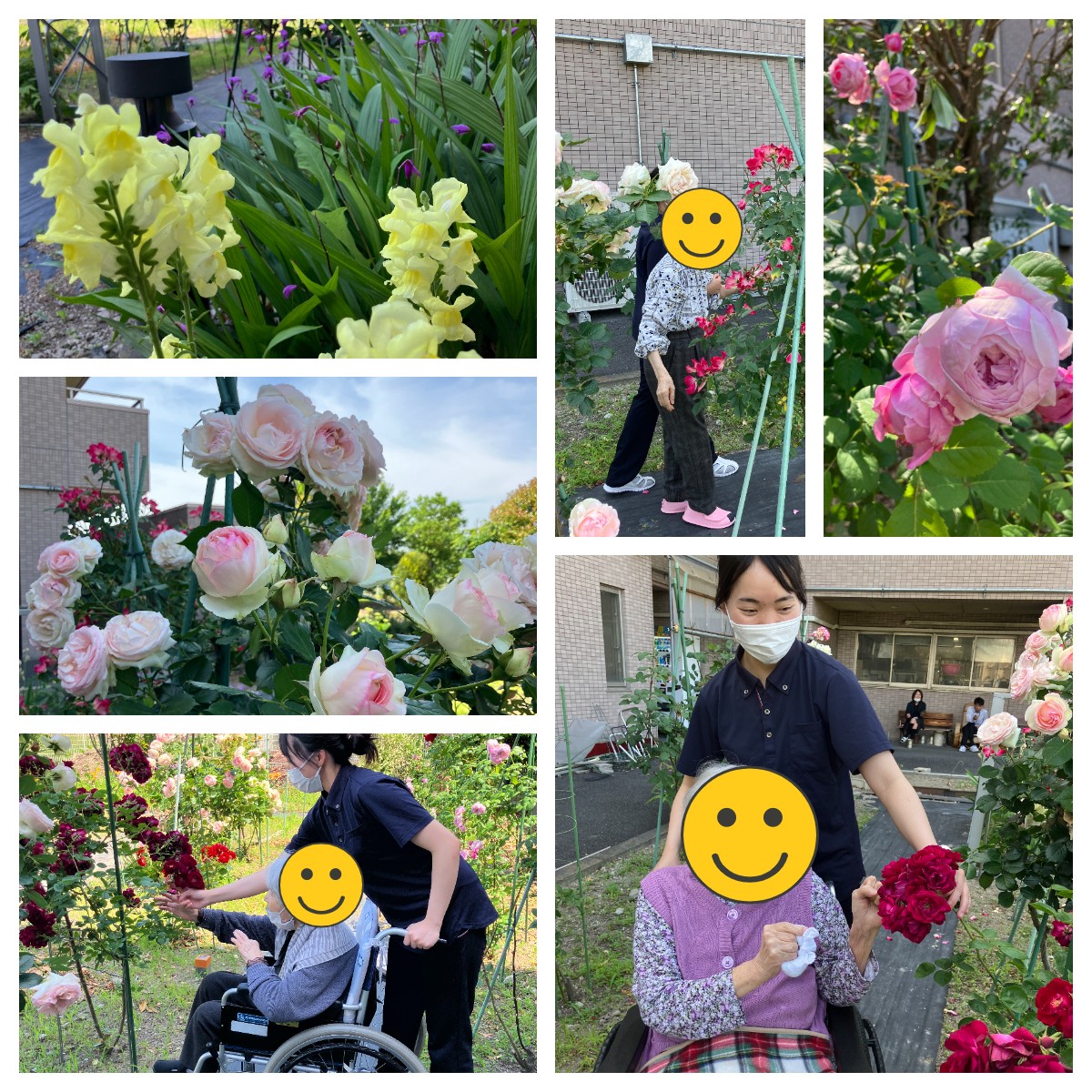 薔薇