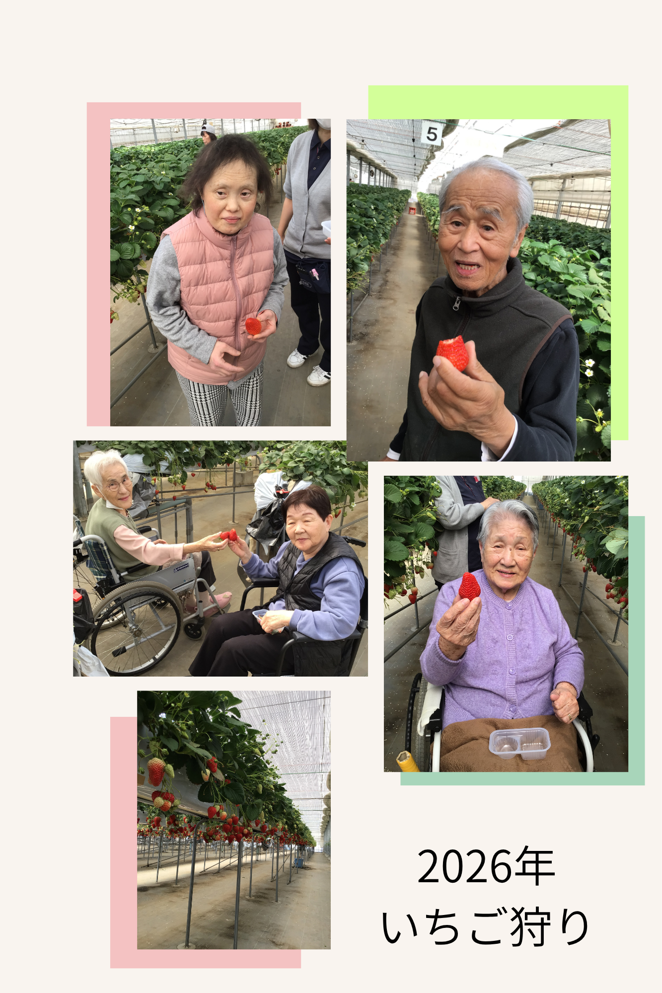 いちご狩り