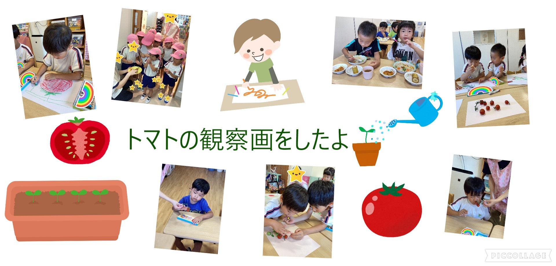 ぞう　トマトの観察画をしたよ