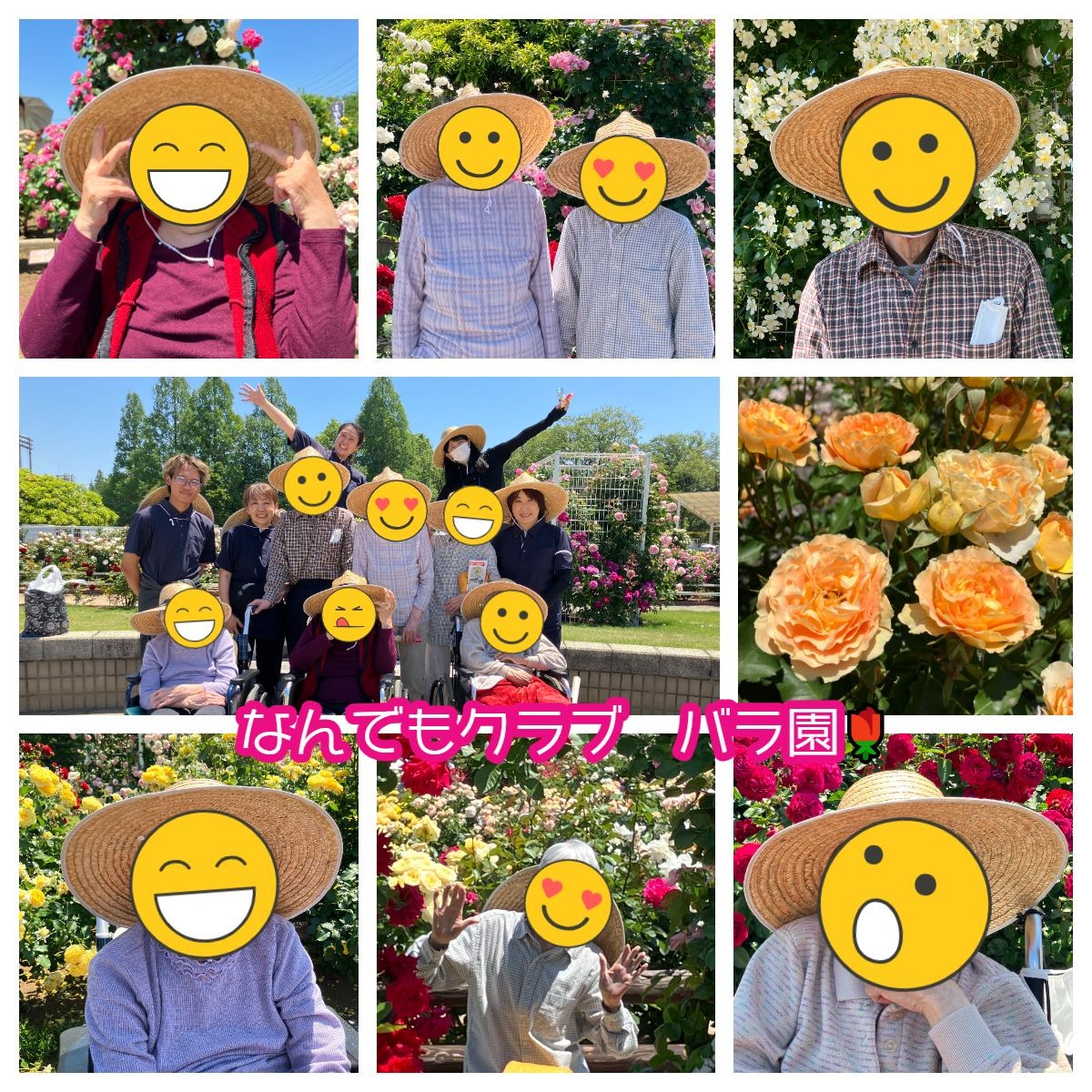 なんでもクラブ　伊奈町バラ園