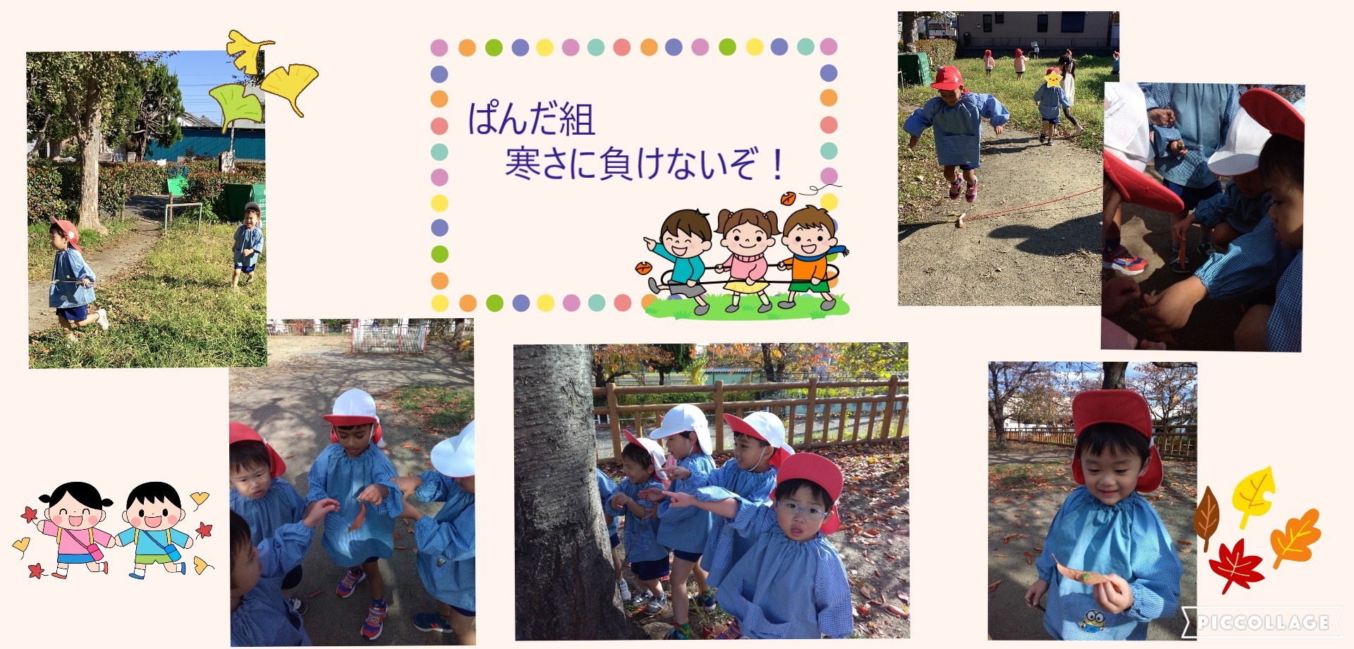 ぱんだ　11月　散歩