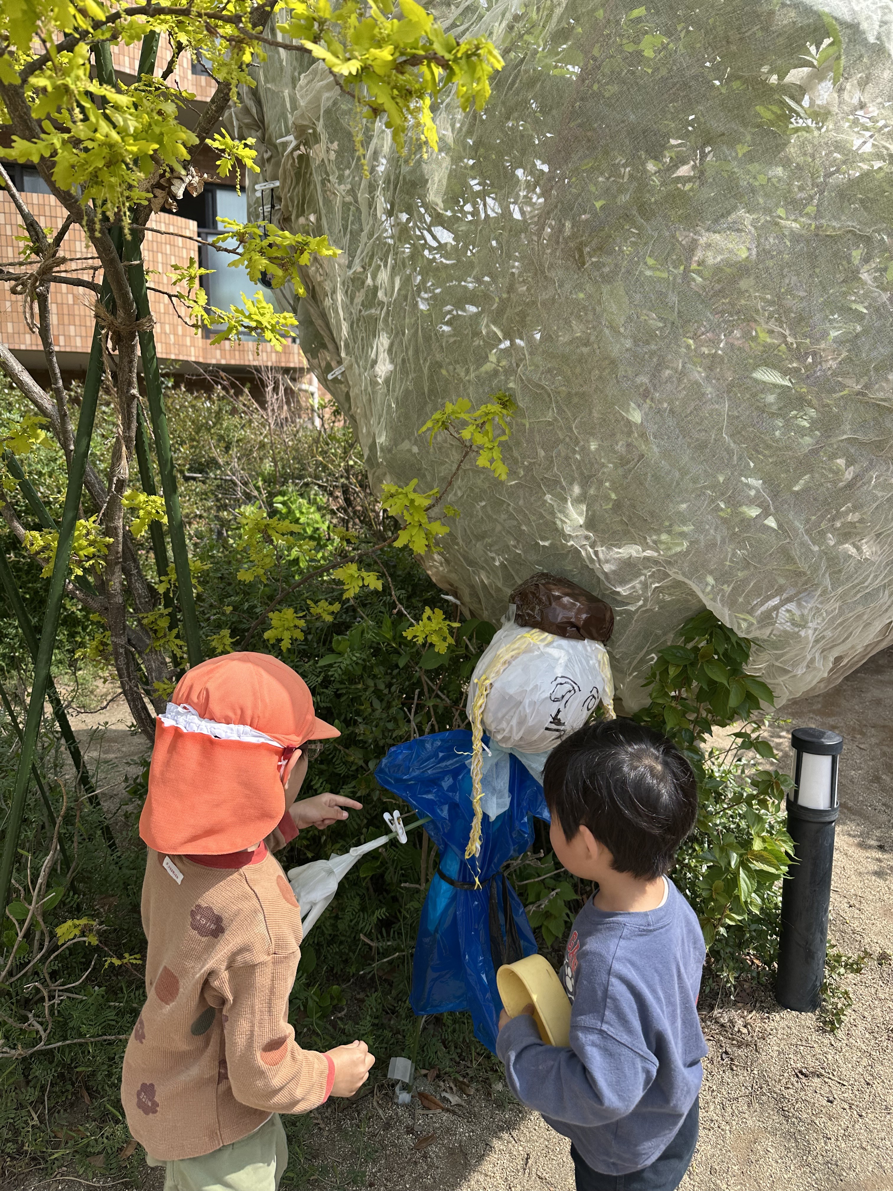 さくらんぼとかかし