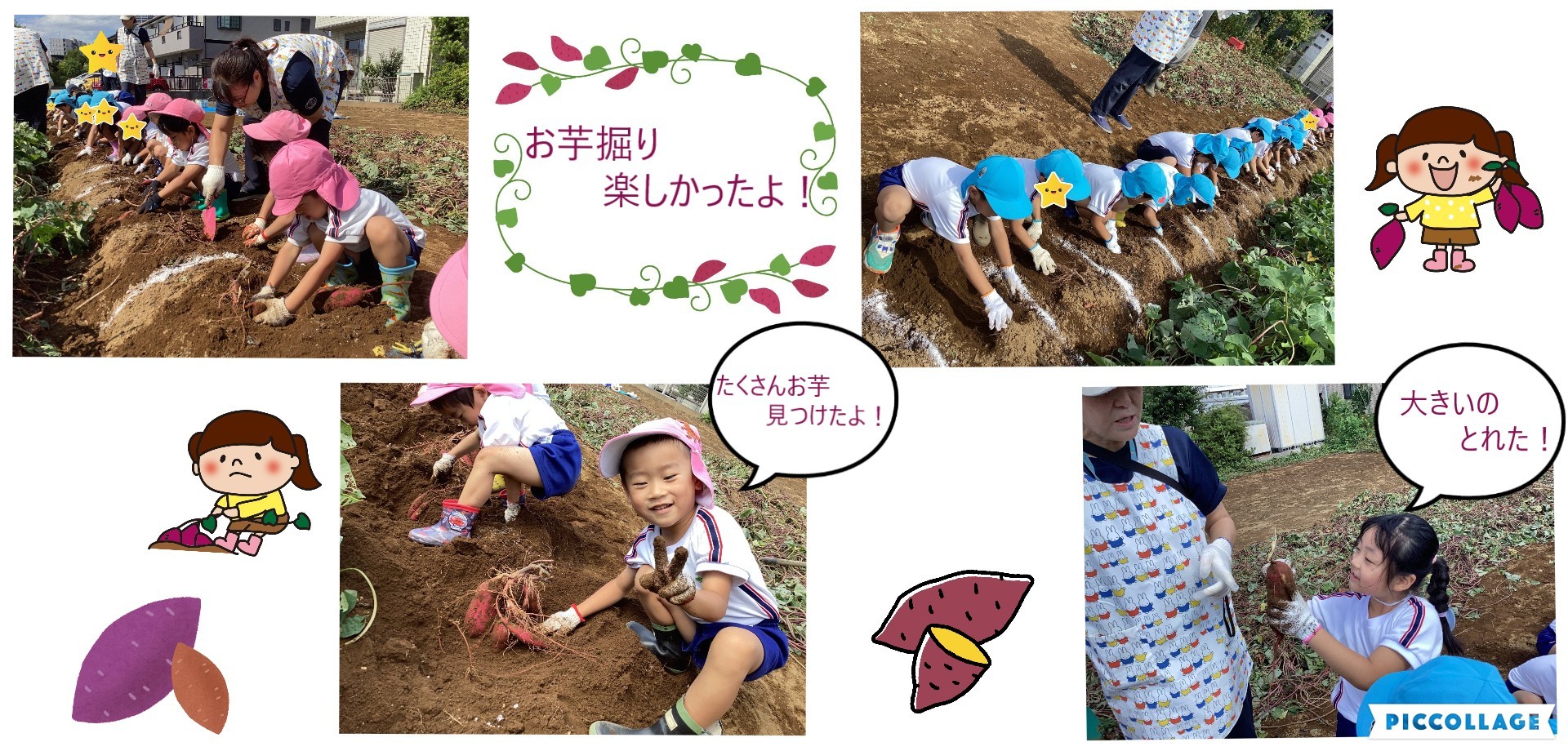 きりん組・ぞう組 お芋掘り