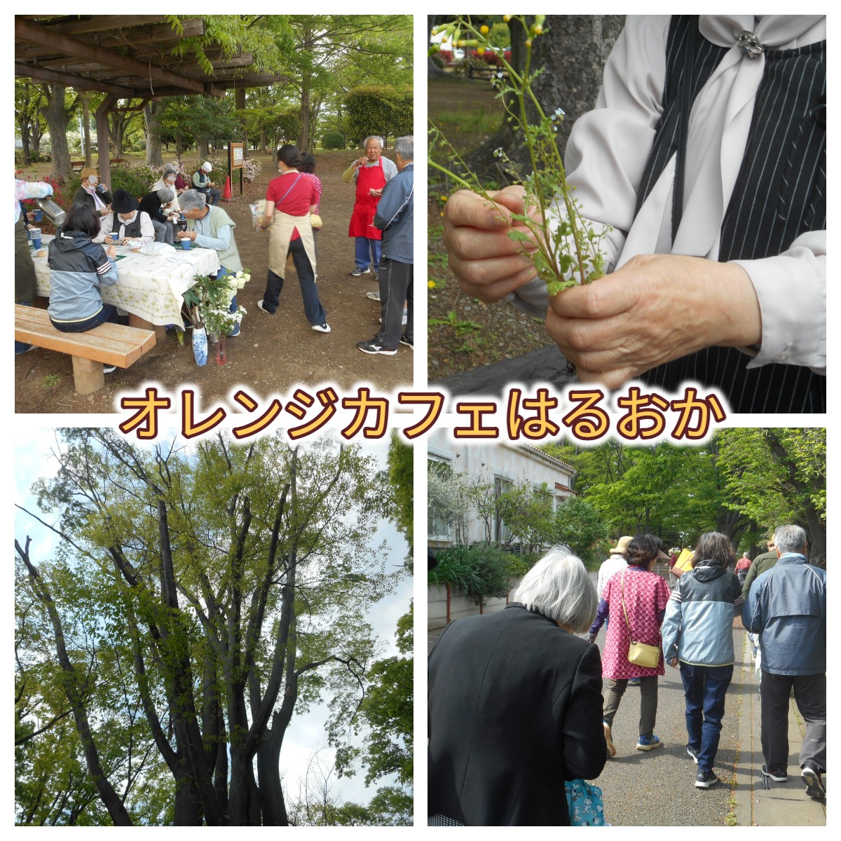 オレンジカフェはるおか